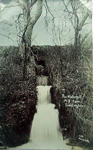 The waterfall at Mill Farm about 1910 [Z1130/126/11]